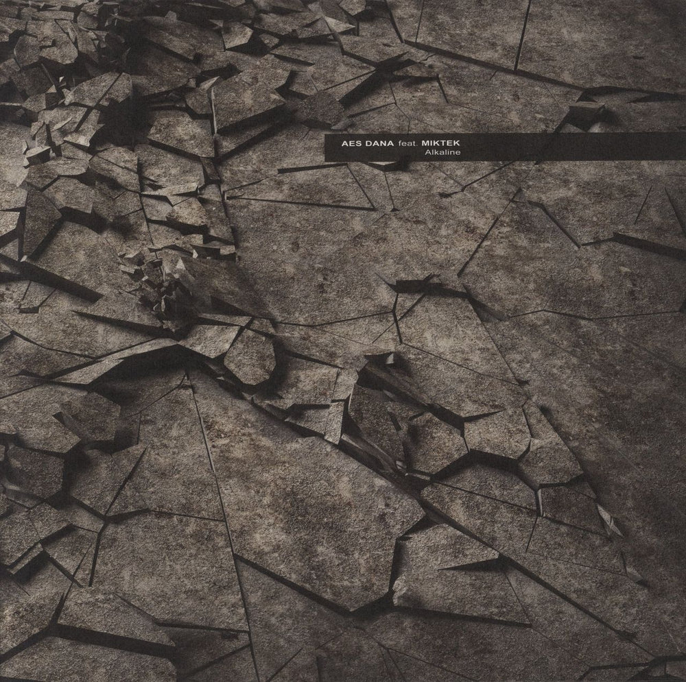 Aes Dana Alkaline French 12" vinyl single (12 inch record / Maxi-single) INRE077