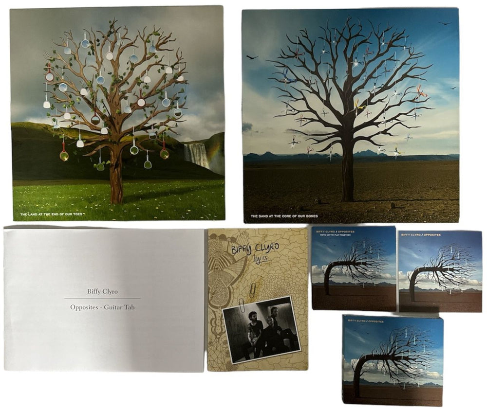 Biffy Clyro Opposites - Deluxe Box Set UK Vinyl Box Set B.YVXOP835892