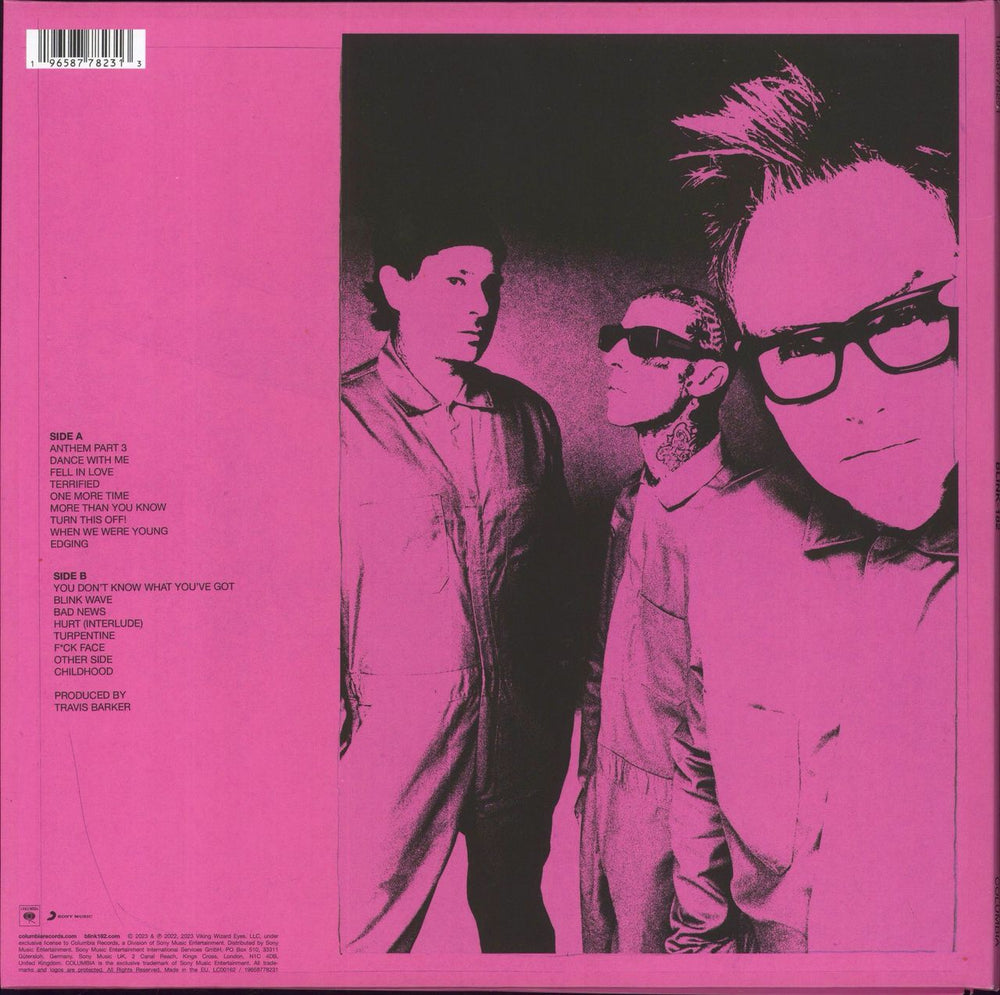 Blink 182 One More Time UK vinyl LP album (LP record) 196587782313