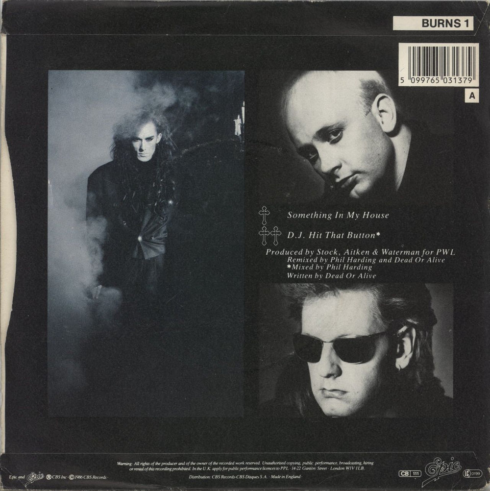 Dead Or Alive Something In My House UK 7" vinyl single (7 inch record / 45) 5099765031379