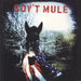 Gov't Mule Gov't Mule UK 2-LP vinyl record set (Double LP Album) LETV419LP