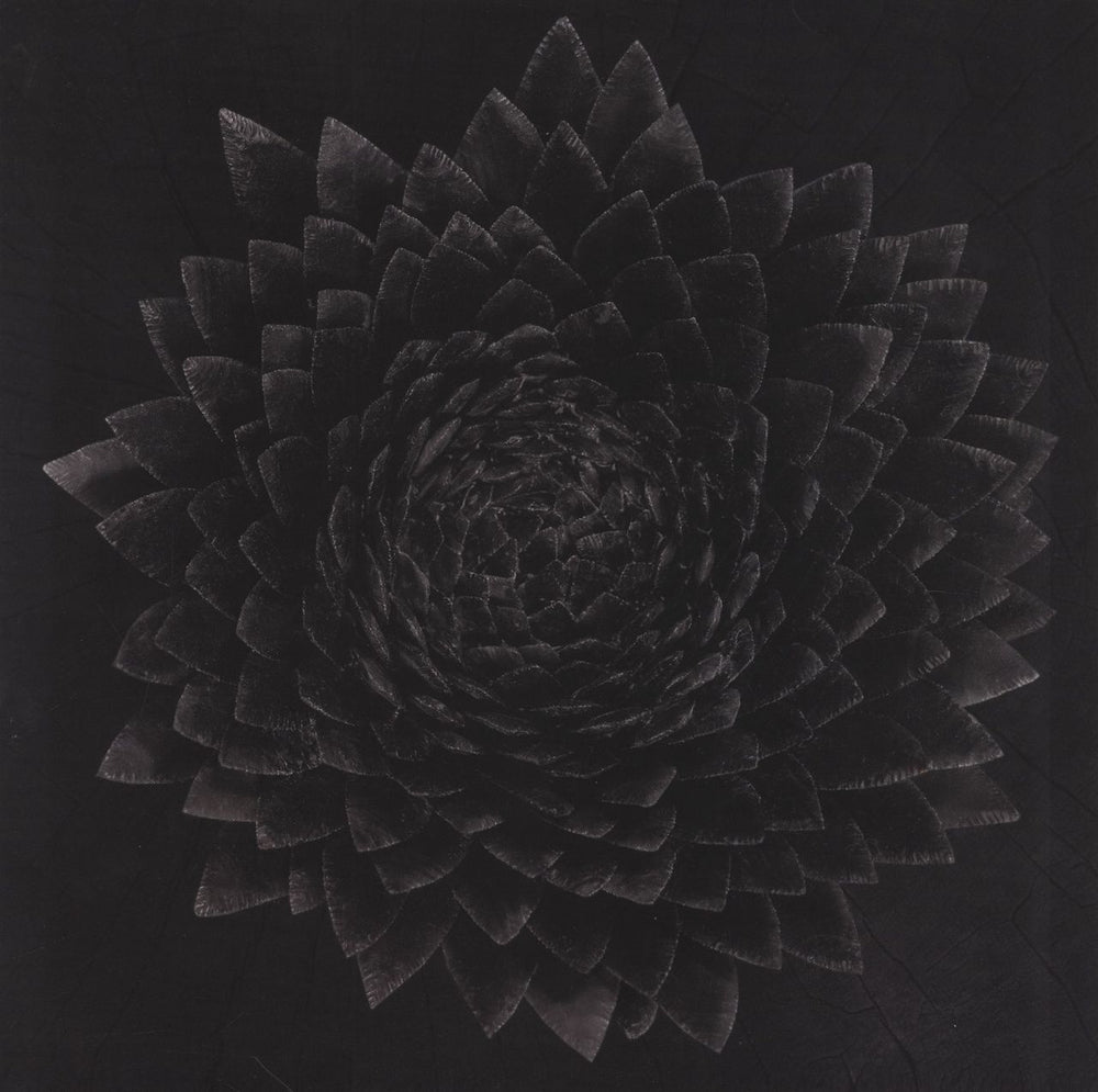 Jonsi Obsidian - Black & Gold 'Galaxy' Vinyl UK 2-LP vinyl record set (Double LP Album) KRUNK76LP