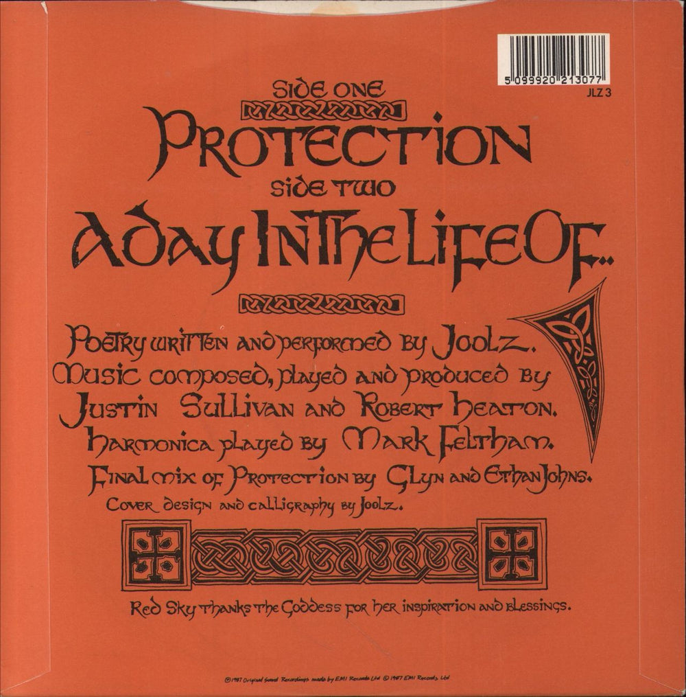Joolz Protection UK 7" vinyl single (7 inch record / 45) 5099920213077