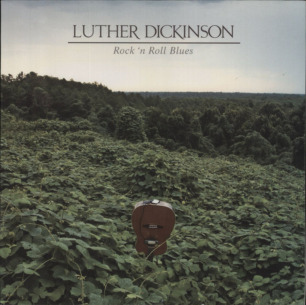 Luther Dickinson Rock 'n Roll Blues US vinyl LP album (LP record) NW5084