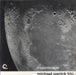 Michael Garrick Moonscape UK vinyl LP album (LP record) JBH022LP