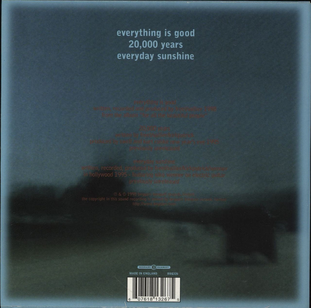 Swell Everything Is Good UK 7" vinyl single (7 inch record / 45) 607618132675