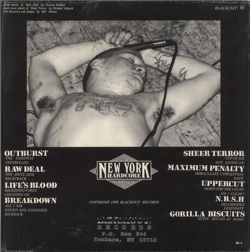 Various-Punk & New Wave New York Hardcore - Where The Wild Things Are US vinyl LP album (LP record)