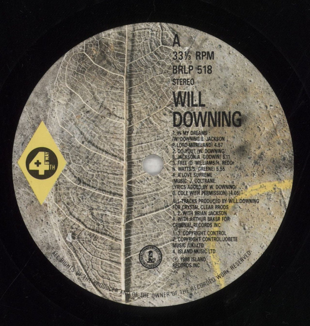 Will Downing Will Downing UK vinyl LP album (LP record) WLLLPWI289781