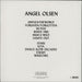 Angel Olsen Burn Your Fire For No Witness US vinyl LP album (LP record) 656605224411