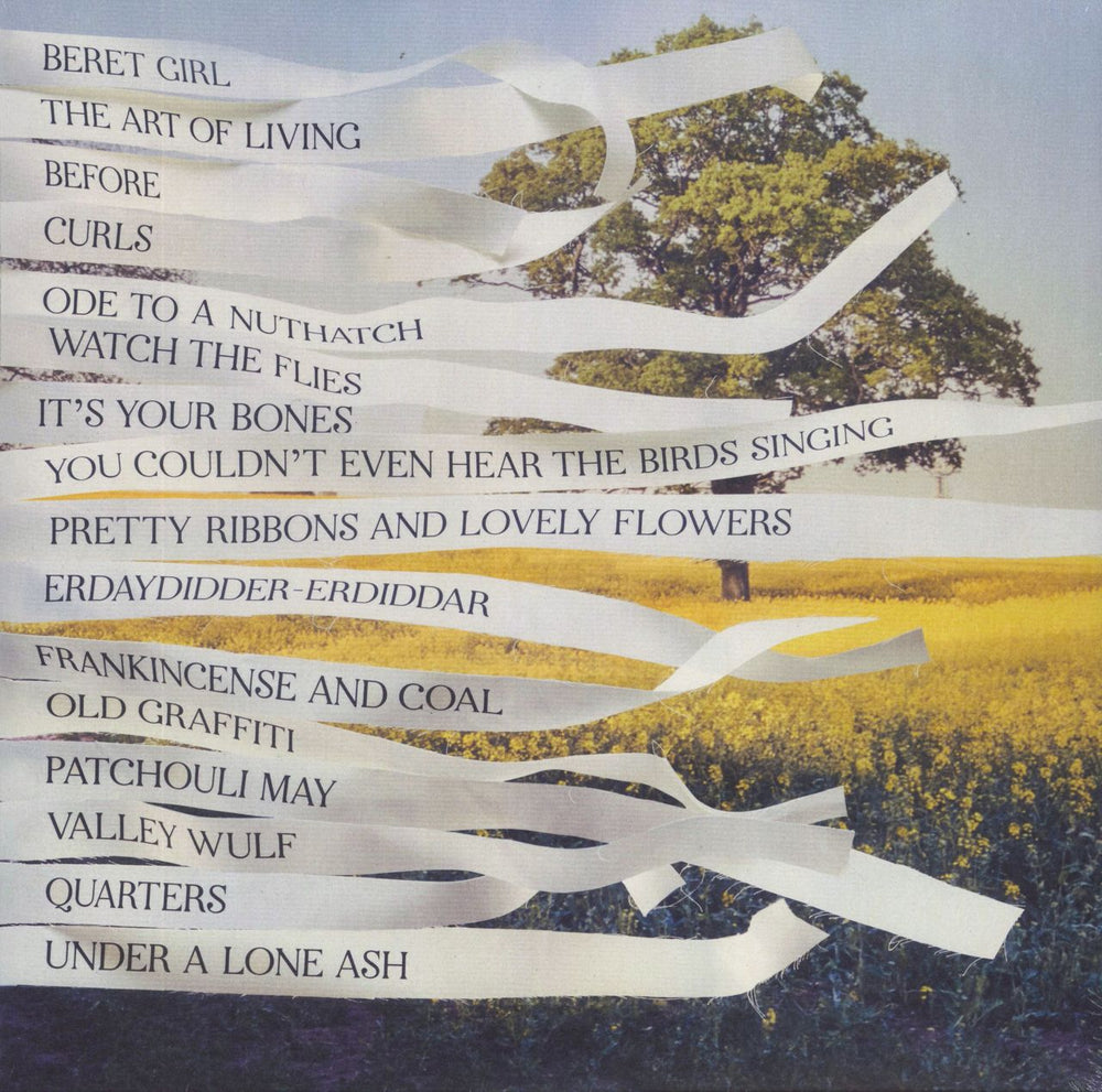 Bibio Ribbons - Sealed UK 2-LP vinyl record set (Double LP Album) 801061029913