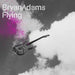 Bryan Adams Flying UK CD single (CD5 / 5") 9869276