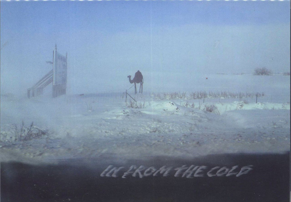 Camel In From The Cold UK DVD CP812DVD
