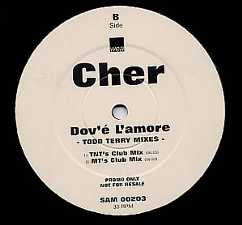 Cher Dov'e L'amore - Tony Moran/Todd Terry Mixes UK Promo 12" vinyl single (12 inch record / Maxi-single) SAM00203