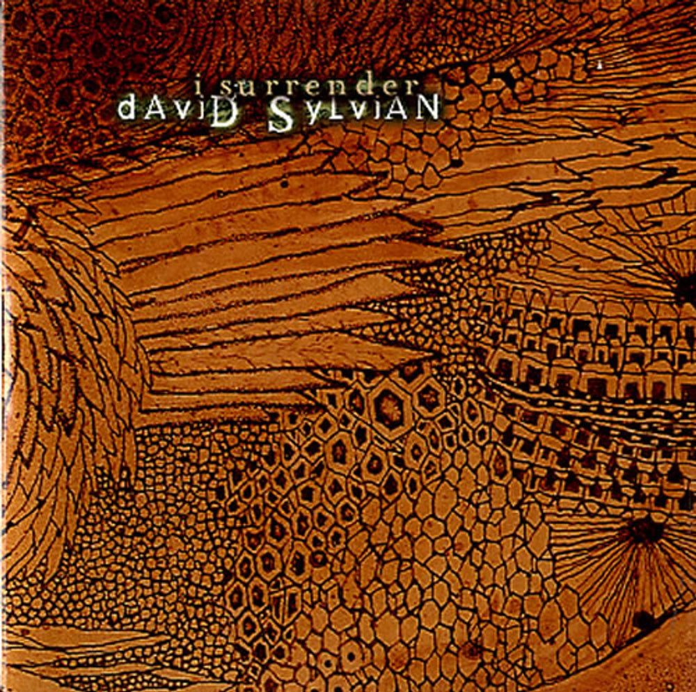 David Sylvian I Surrender UK Promo CD single (CD5 / 5") VSCDJ1722