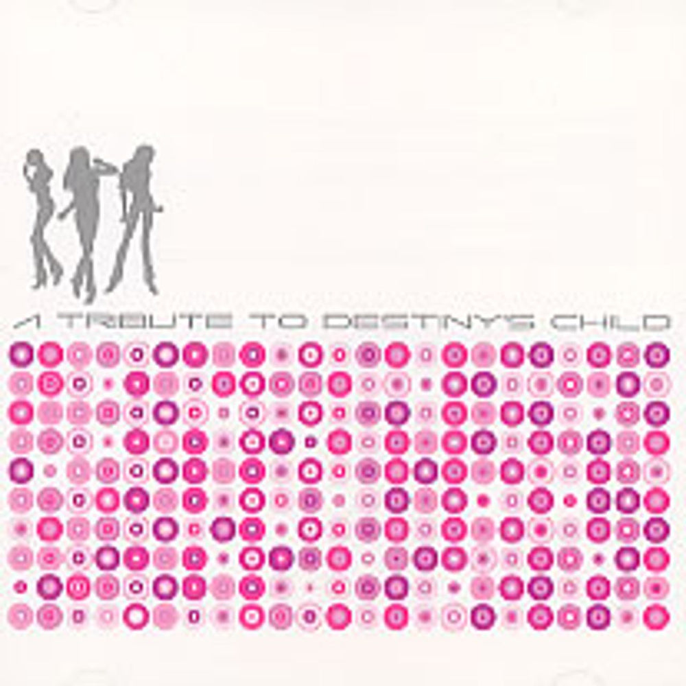 Destiny's Child A Tribute To Destiny's Child US CD album (CDLP) BIG4208-2