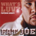 Fat Joe What's Luv? European CD single (CD5 / 5") FTJC5WH214960