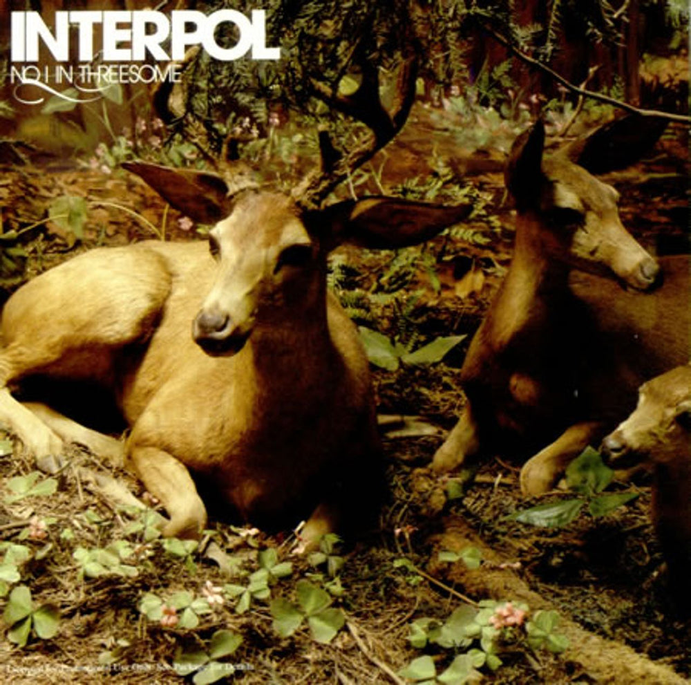 Interpol No I In Threesome US Promo CD single (CD5 / 5") 5099950784226