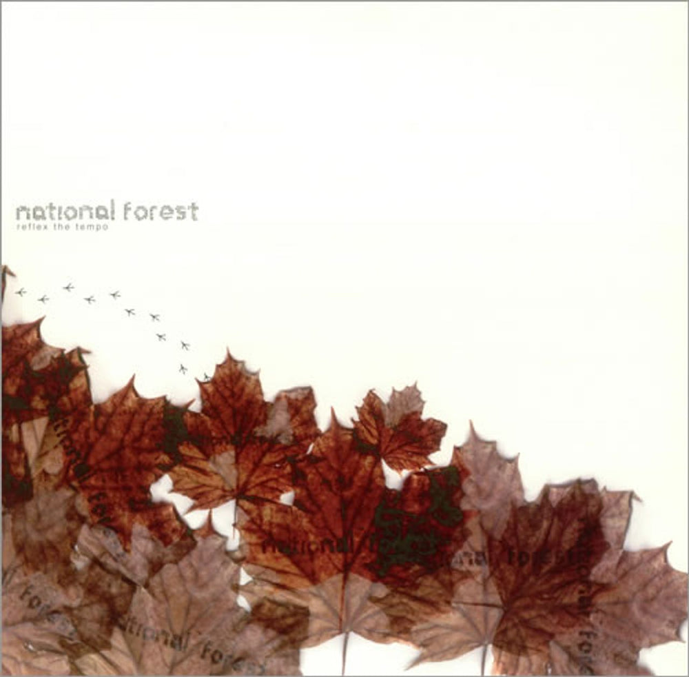 National Forest Reflex The Tempo UK 12" vinyl single (12 inch record / Maxi-single) FH12027