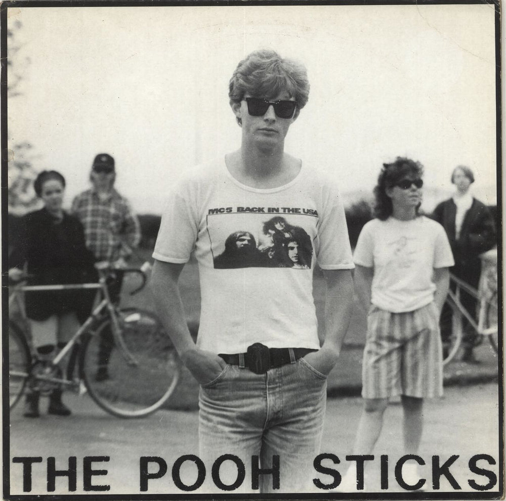 Pooh Sticks The Pooh Sticks - Etched UK 12" vinyl single (12 inch record / Maxi-single) FRIGHT028