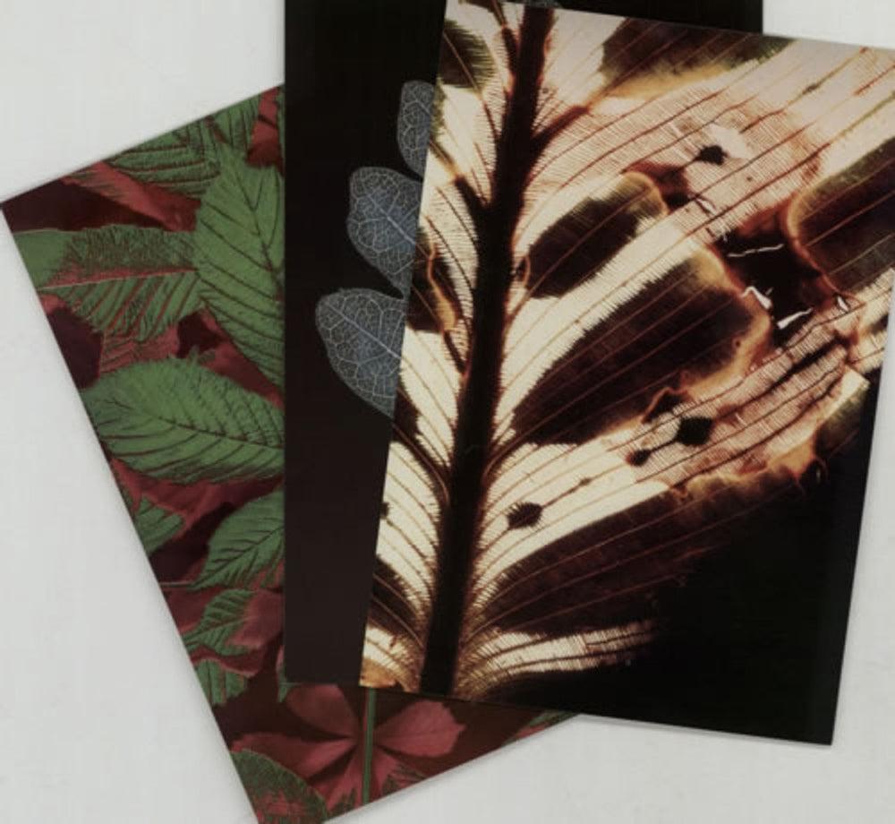 Propaganda Only One Word UK 10" vinyl single (10 inch record) PRO10ON04741