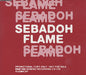 Sebadoh Flame UK Promo CD single (CD5 / 5") RUG80CDP