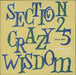 Section 25 Crazy Wisdom Belgian 12" vinyl single (12 inch record / Maxi-single) FBN45