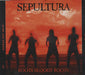 Sepultura Roots Bloody Roots UK CD single (CD5 / 5") RR2320-3