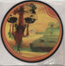 The Flaming Lips The W.A.N.D. UK 7" vinyl picture disc (7 inch picture disc single) F-L7PTH365108