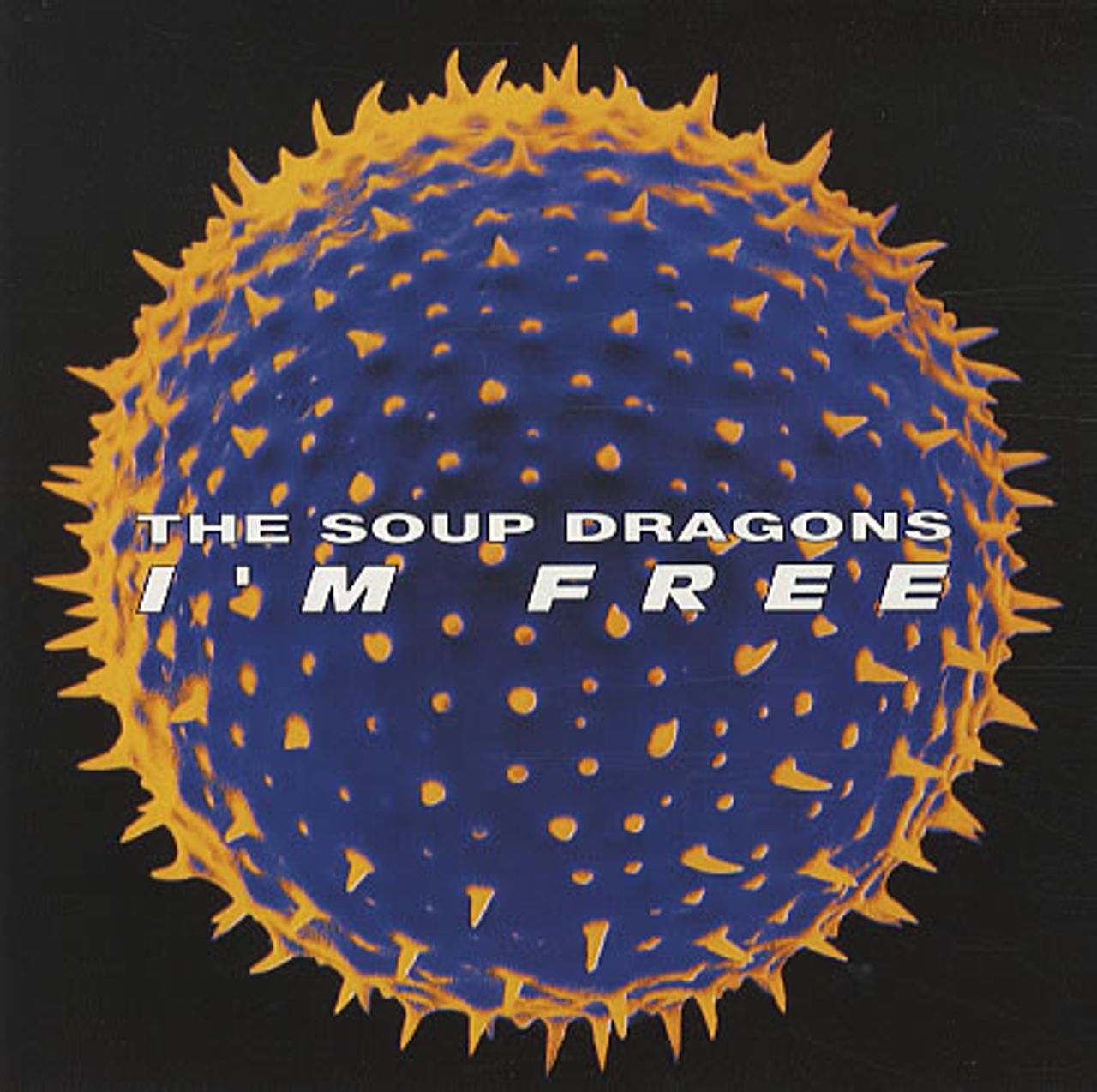 The soup best sale dragons