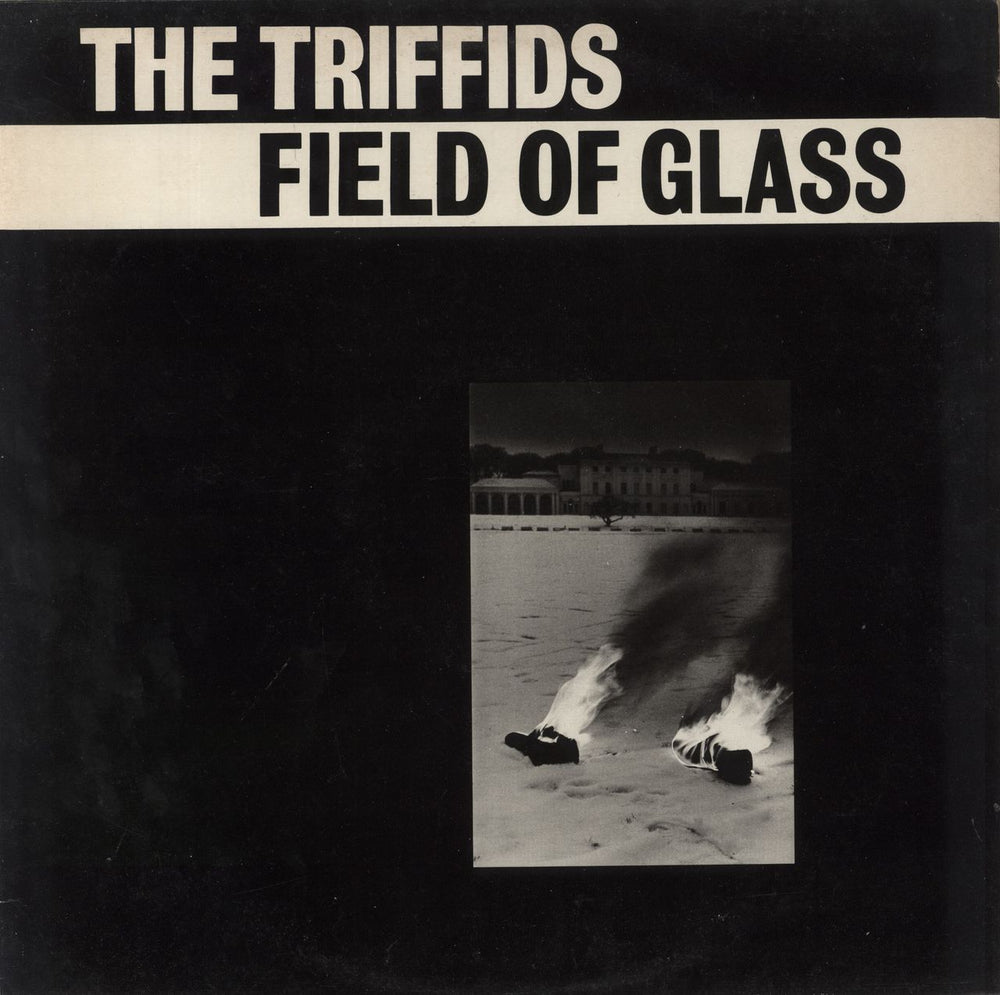 The Triffids (80s) Field Of Glass UK 12" vinyl single (12 inch record / Maxi-single) HOT12007